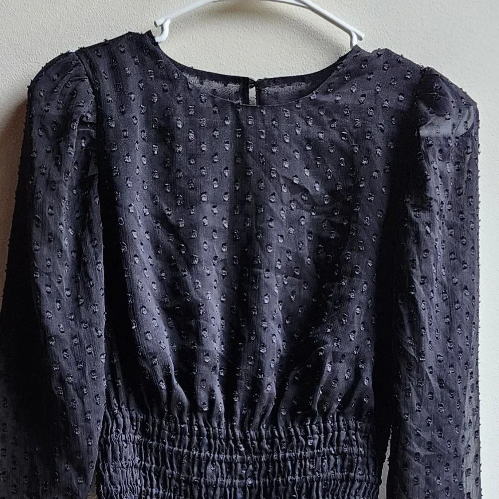 Express Sheer Black Cropped Blouse Size XS